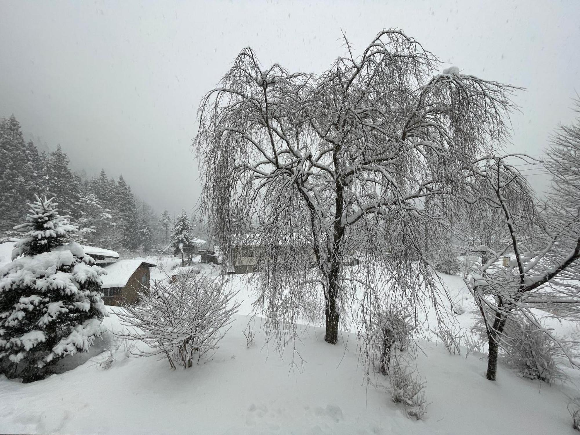 Suisensou Hotel Takajama Kültér fotó